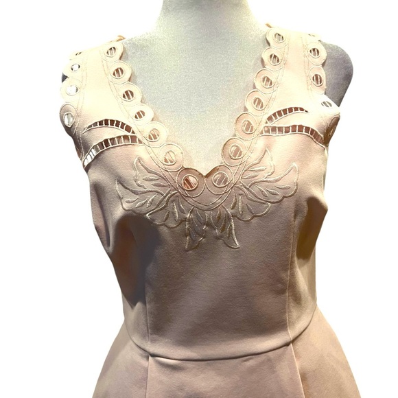 Ted Baker Emalise Pink V-neck Embroidered Skater Dress TB Size 2 - Picture 5 of 14